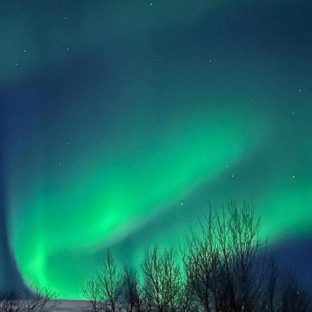 Tromsdalen Aurora Apartments Тромсё Экстерьер фото