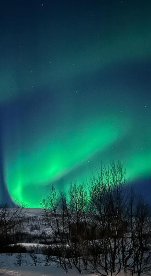 Tromsdalen Aurora Apartments Тромсё Экстерьер фото